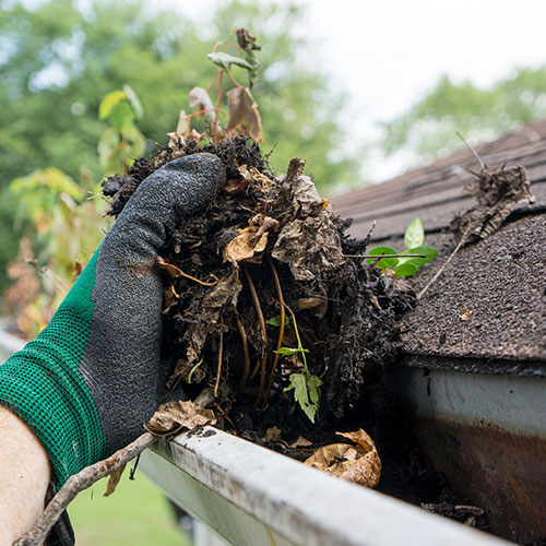 Gutter Cleaning Image